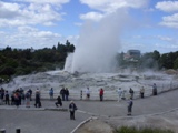 Te Puia geyser