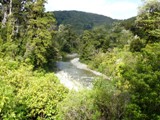 Kaitoke National Park